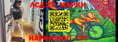 гидра Заводоуковск