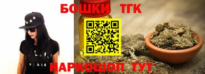 гидра Заводоуковск