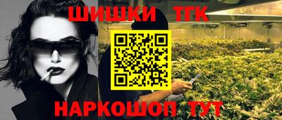 гидра Заводоуковск