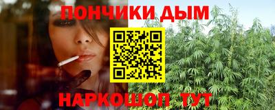 гидра Заводоуковск