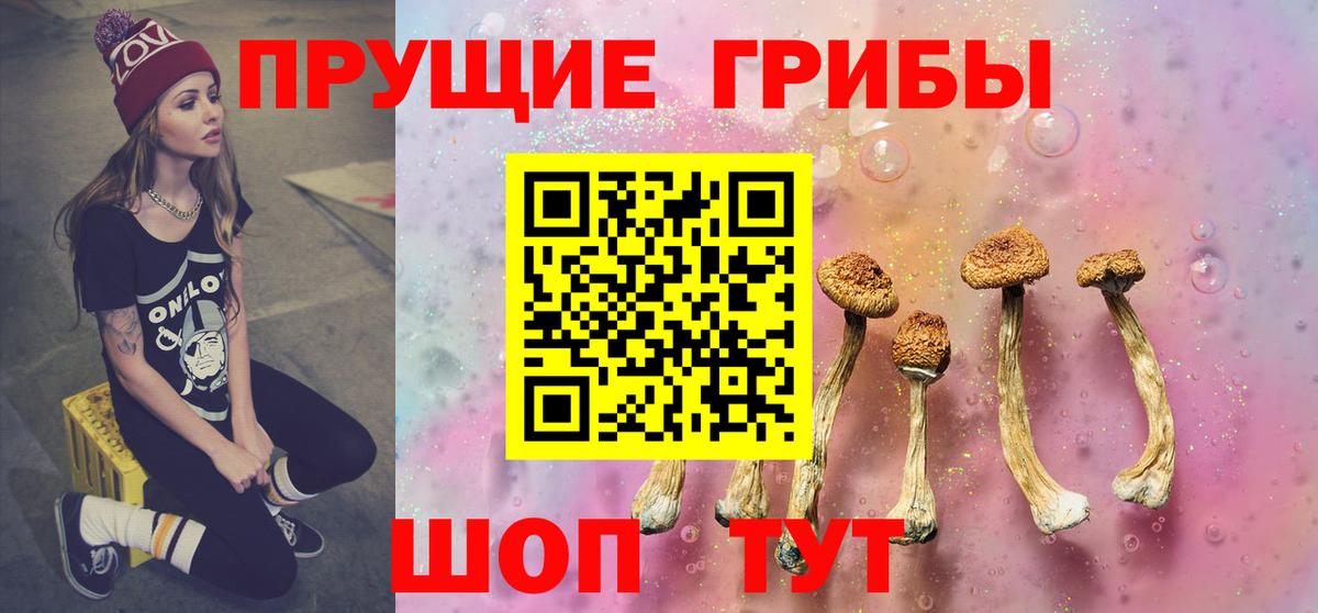 закладка  Галлюциногенные грибы прущие грибы  Псилоцибиновые грибы прущие грибы  Вход с VPN  Кольчугино 